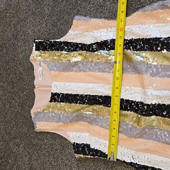 Calvin Klein Women Striped Sequin Sheath Dress sz 12 - Picture 6 of 12